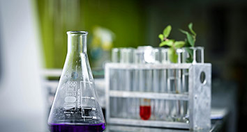 Lianyungang Jiewei Chemical Co., Ltd. is was founded in 1997. We produce pesticide, medicine and pharmaceutical intermediate.